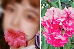 Ngậm hoa vào miệng tạo dáng sống ảo, cô gái trẻ suýt mất mạng
