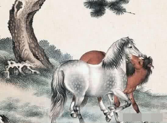 3 con giáp sau 40 tuổi sẽ sống một cuộc đời ngọt ngào và giàu có-2