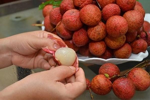 Bắc Giang trồng thử nghiệm thành công vải thiều không hạt-2