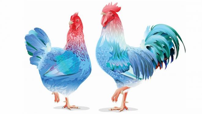 Tử vi hàng ngày 12 con giáp Chủ nhật 19/6/2022: Xáo trộn tình thân-4