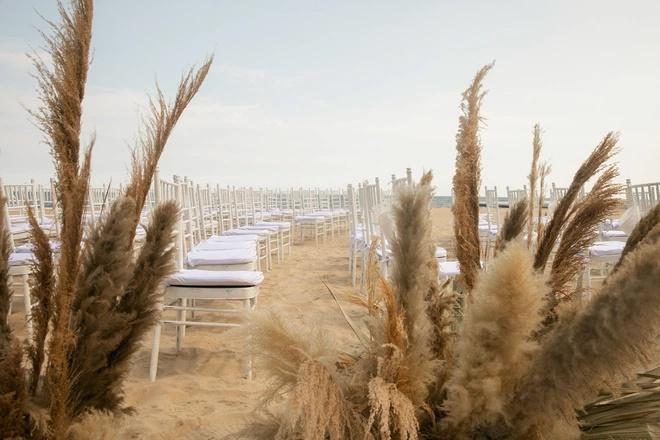 ...khá đặc biệt vì chỉ có cỏ lau và không có một bông hoa nào.