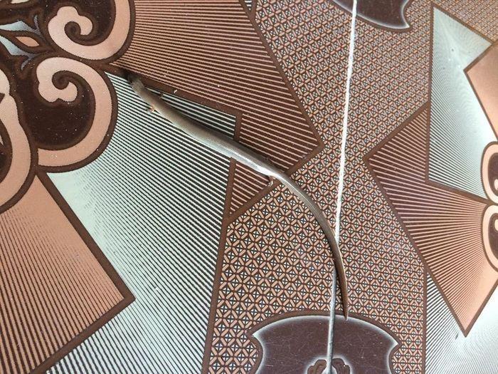 Đang quét nhà bỗng rắn mọc chân rơi xuống, người sợ người khen-2