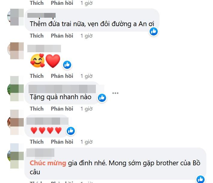 Phan Như Thảo mang thai con thứ 2 với đại gia Đức An?-5