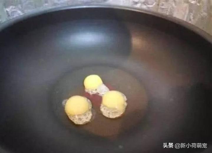 Lấy trứng rùa thử chiên mãi không chín, bất ngờ vì lý do đằng sau-4