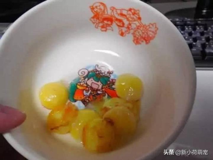 Lấy trứng rùa thử chiên mãi không chín, bất ngờ vì lý do đằng sau-5