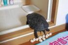 Lấy trứng rùa thử chiên mãi không chín, bất ngờ vì lý do đằng sau