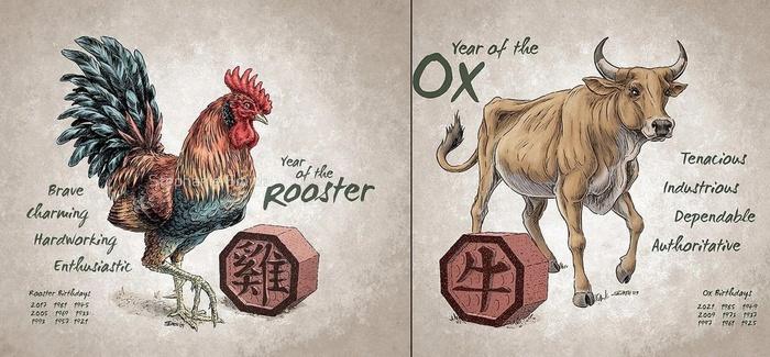 3 cặp đôi khắc khẩu nhưng bền, sinh con không rồng cũng phượng-2