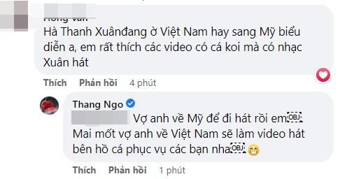 Vua cá Koi hồi xuân nhờ thuốc bổ của Hà Thanh Xuân-6