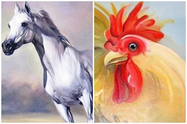 4 kiểu căn hộ chung cư cực xấu, rẻ mấy cũng không được mua-3