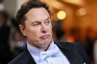 Con tỷ phú Elon Musk nộp đơn xin xóa quan hệ huyết thống với cha
