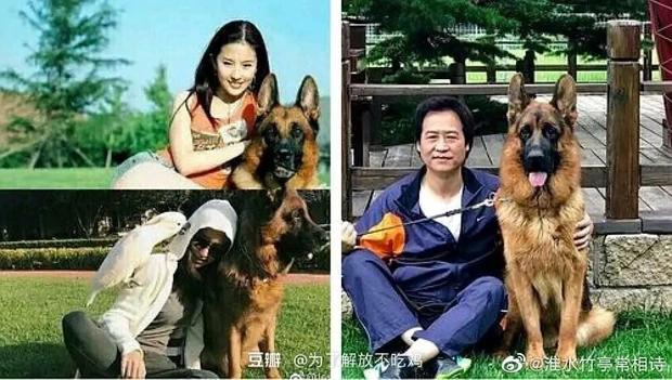 Cha nuôi lấy nhà của Lưu Diệc Phi cho người tình ở?-2