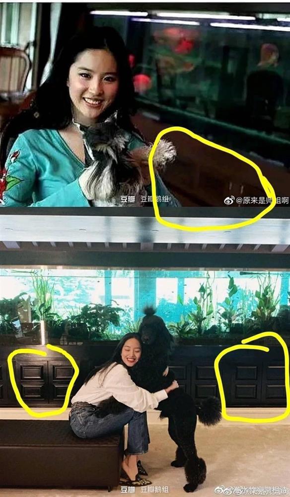 Cha nuôi lấy nhà của Lưu Diệc Phi cho người tình ở?-3