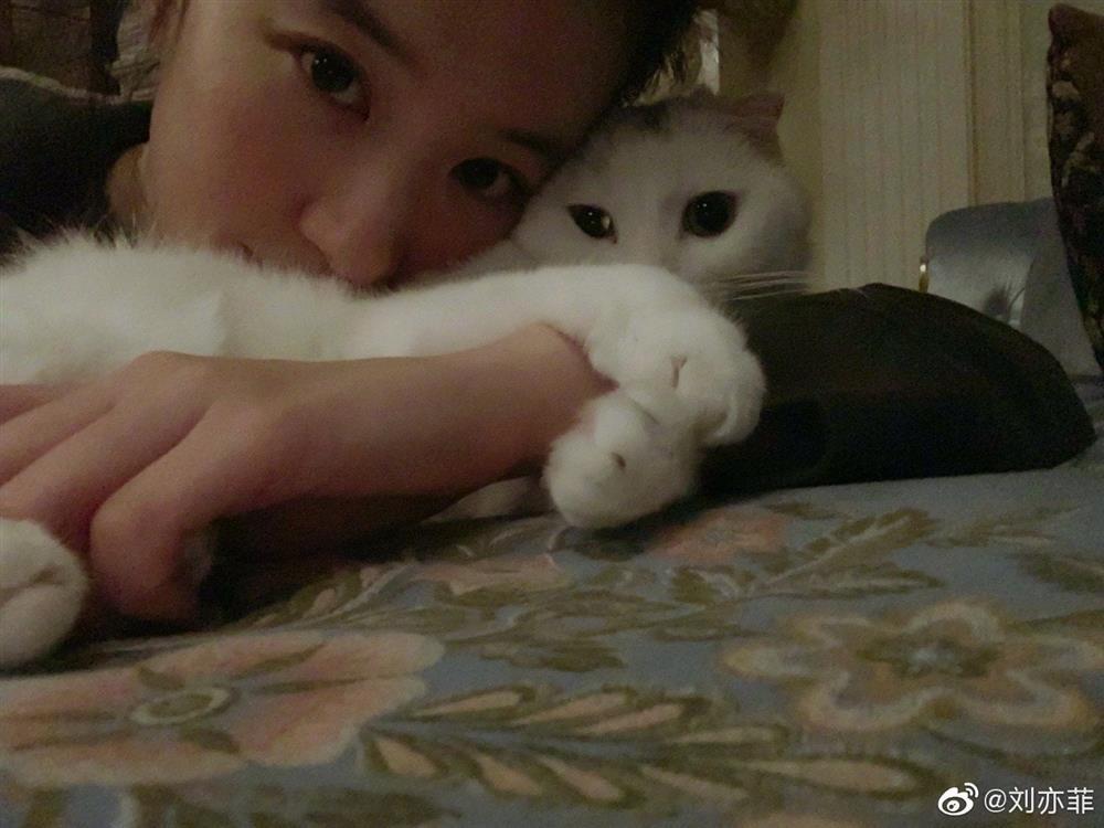 Cha nuôi lấy nhà của Lưu Diệc Phi cho người tình ở?-9