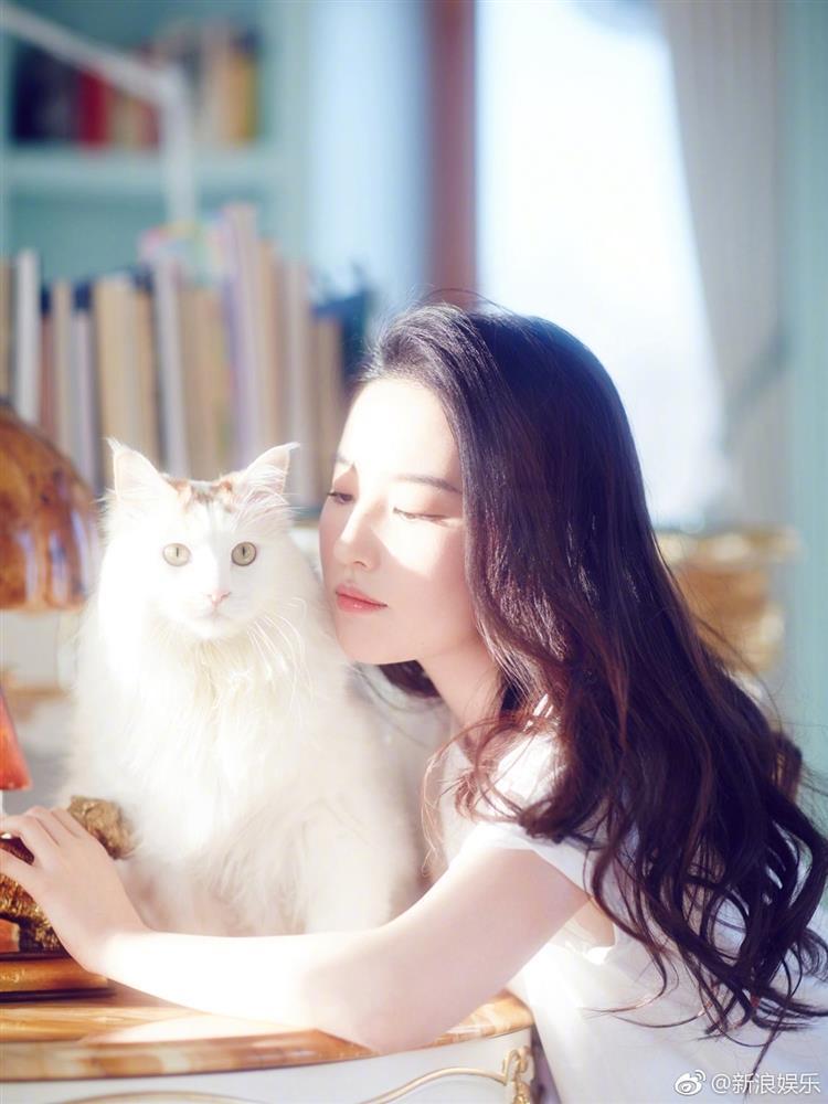 Cha nuôi lấy nhà của Lưu Diệc Phi cho người tình ở?-8