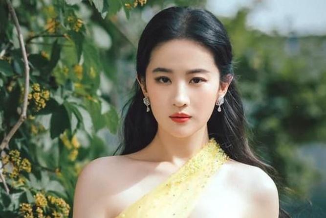 Thực hư Lưu Diệc Phi dối gian học vấn, phải đi cửa sau-3