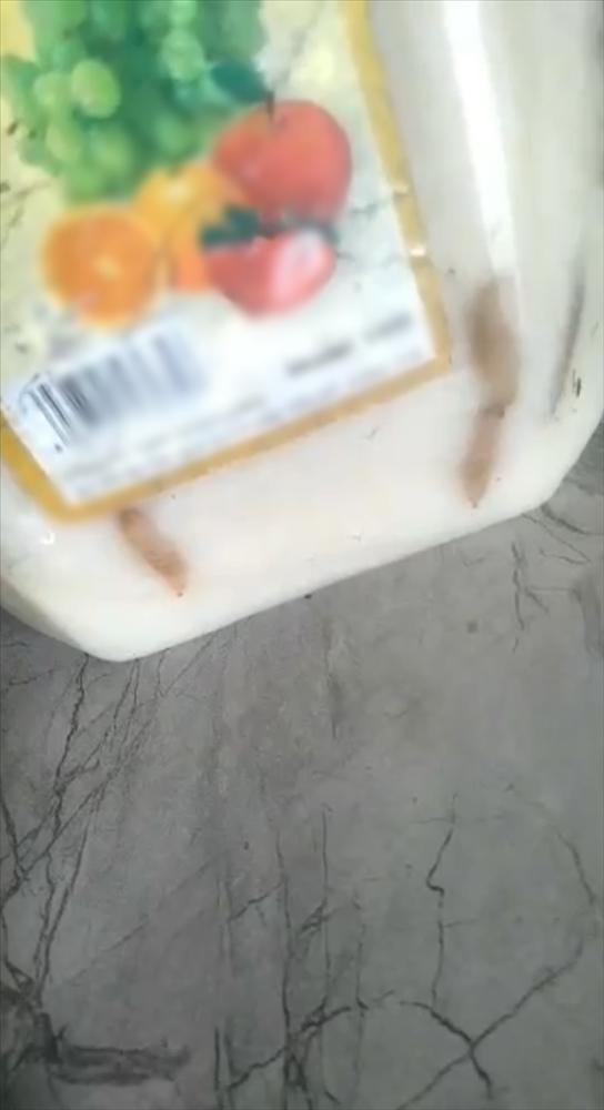 Tập tành làm cơm mẻ, gái đảm nhận cái kết rùng mình-2