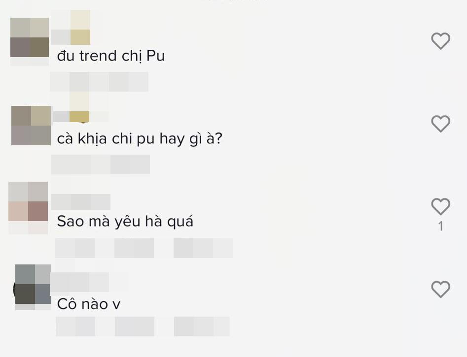 Hồ Ngọc Hà đang cà khịa hay bắt trend Chi Pu?-4