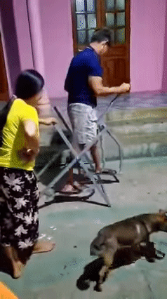 Nhận quà tự tay cậu ấm làm, bố hớn hở ai ngờ suýt chấn thương sọ não-1