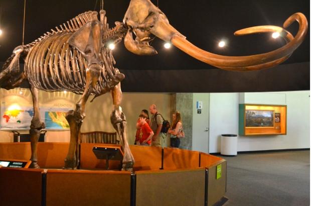 Hồ bất thường nhất thế giới: Không nhiều nước nhưng nơi nào cũng muốn-4