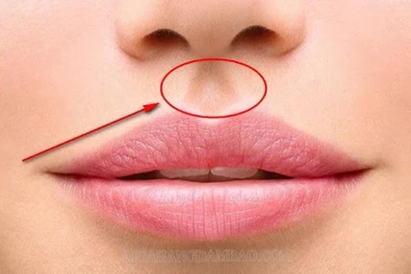 Tướng phụ nữ khổ trước sướng sau, ngày mai nhất định phú quý-2