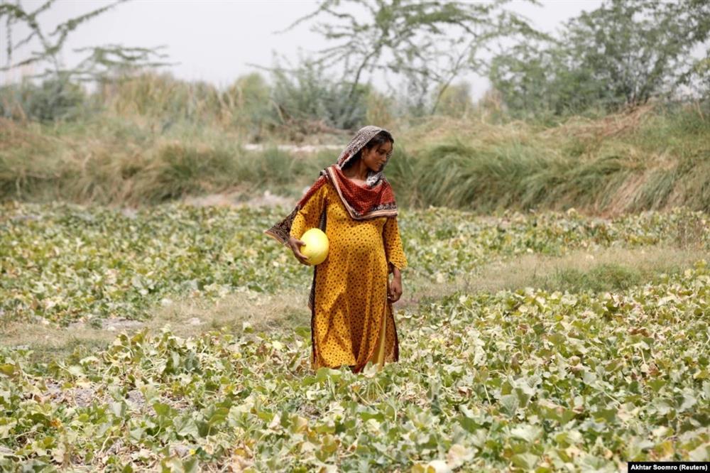 Sợ hãi cuộc sống ở nơi nóng nhất hành tinh-1