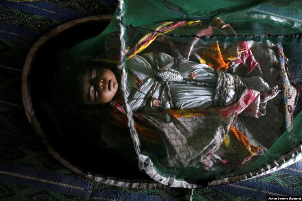 Sợ hãi cuộc sống ở nơi nóng nhất hành tinh-6