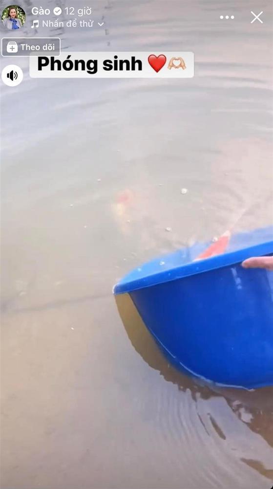 Phóng sinh cá Koi, nhà văn Gào bị chỉ trích hóa kiếp hay gì?-2