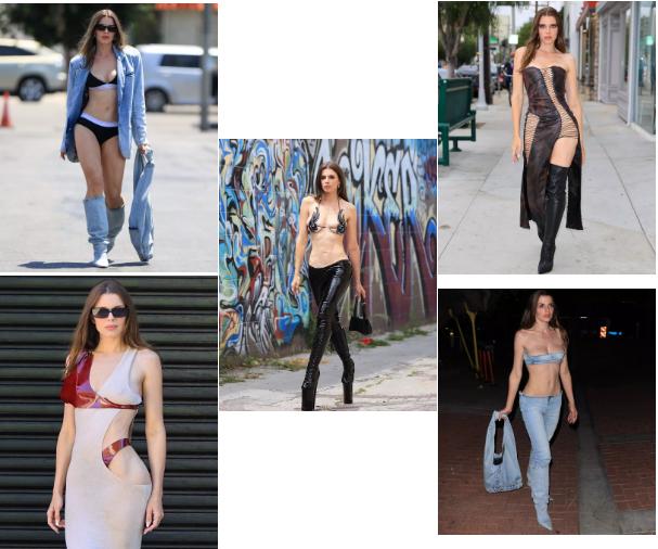 Diễn viên Julia Fox mặc như không ra phố-6