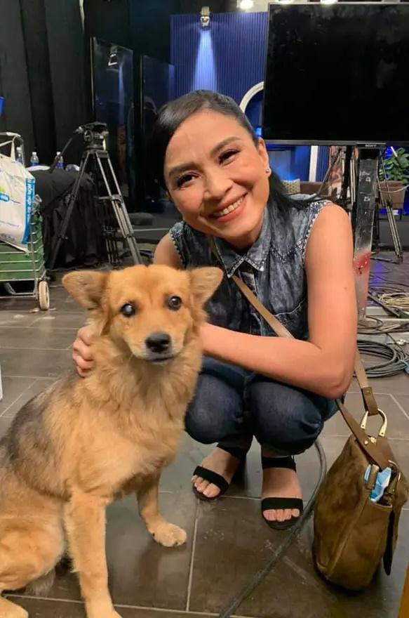 Cuộc sống thích làm mộc, trồng hoa của Cô Gái Xấu Xí ở tuổi 58-7