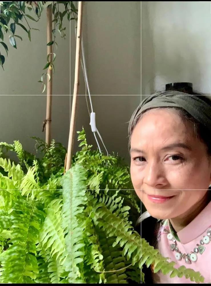 Cuộc sống thích làm mộc, trồng hoa của Cô Gái Xấu Xí ở tuổi 58-8