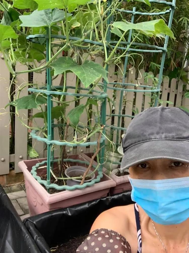 Cuộc sống thích làm mộc, trồng hoa của Cô Gái Xấu Xí ở tuổi 58-9