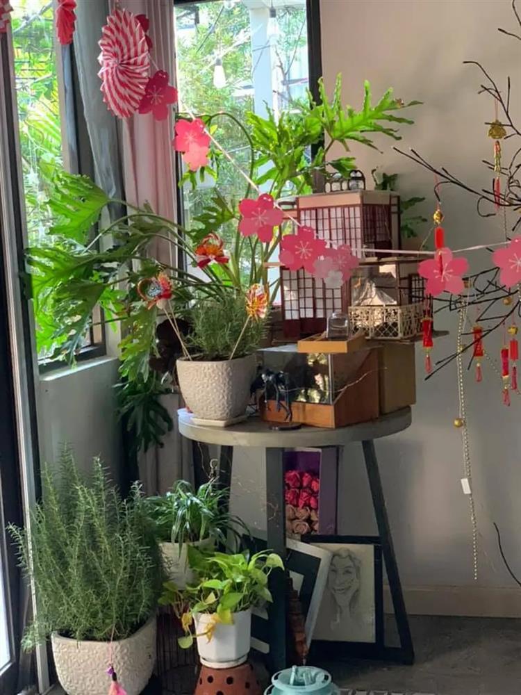 Cuộc sống thích làm mộc, trồng hoa của Cô Gái Xấu Xí ở tuổi 58-15