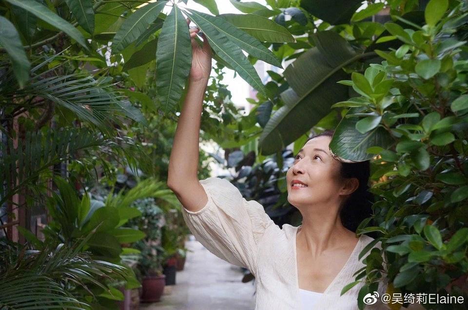 Ngô Ỷ Lợi chật vật kiếm tiền ở tuổi 49-1