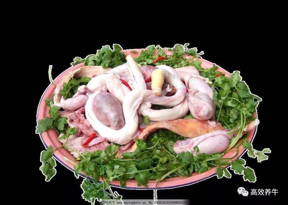 Bộ phận nhạy cảm của con bò, nhìn đỏ mặt nhưng tác dụng thần kỳ-2