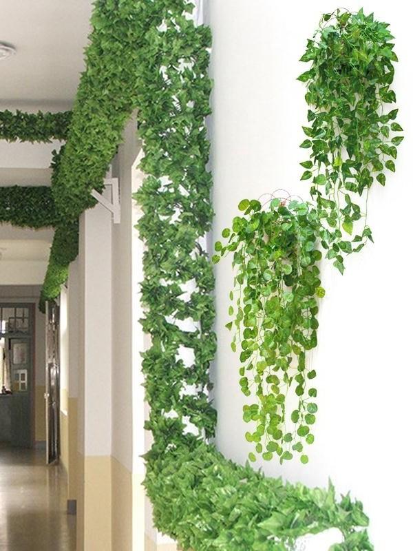 3 nguyên tắc trồng cây phong thủy tăng vận đào hoa thịnh vượng-2