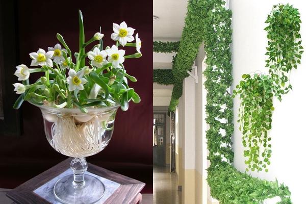 Khi những hiện tượng này xuất hiện trên bàn ăn thì Thần Tài sẽ rời đi-4