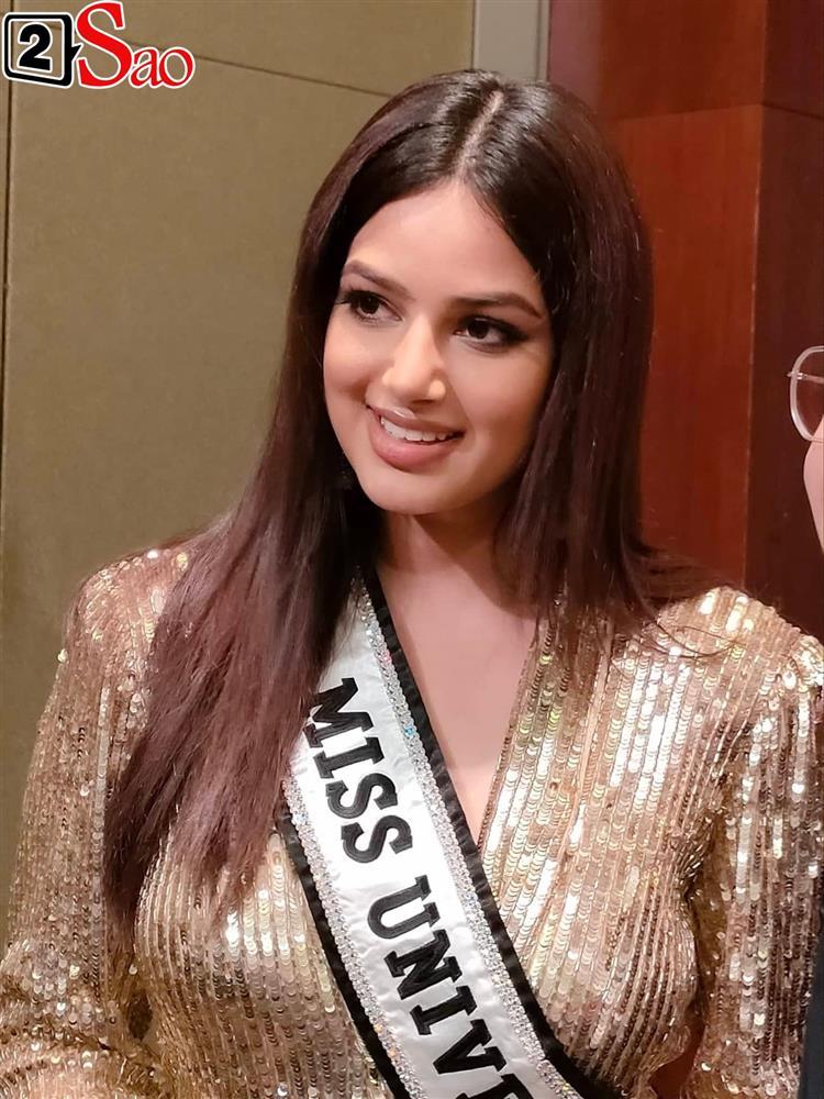 Miss Universe 2021 trước giờ lên ghế nóng: Sắc đẹp chỉ chiếm 1%-2