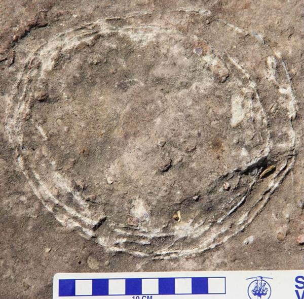 Phát hiện trứng quái thú lồng trong trứng đầu tiên trên thế giới-1