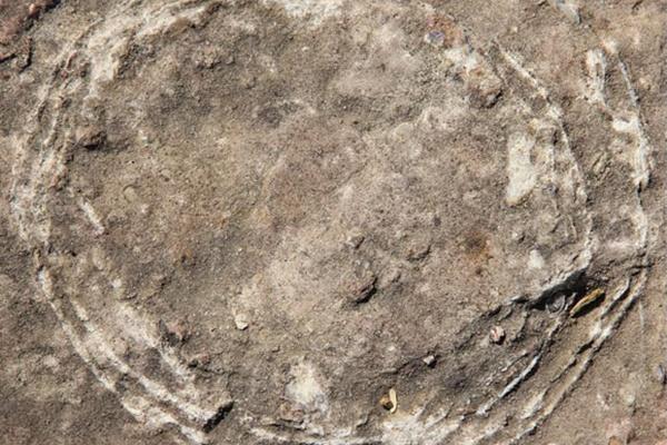 Đổ bột vào trứng cút ngâm 10 ngày, thành quả ai cũng kinh ngạc-6