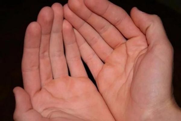 Tâm không động, lòng chẳng vấn vương, mỗi ngày trôi qua hạnh phúc-3