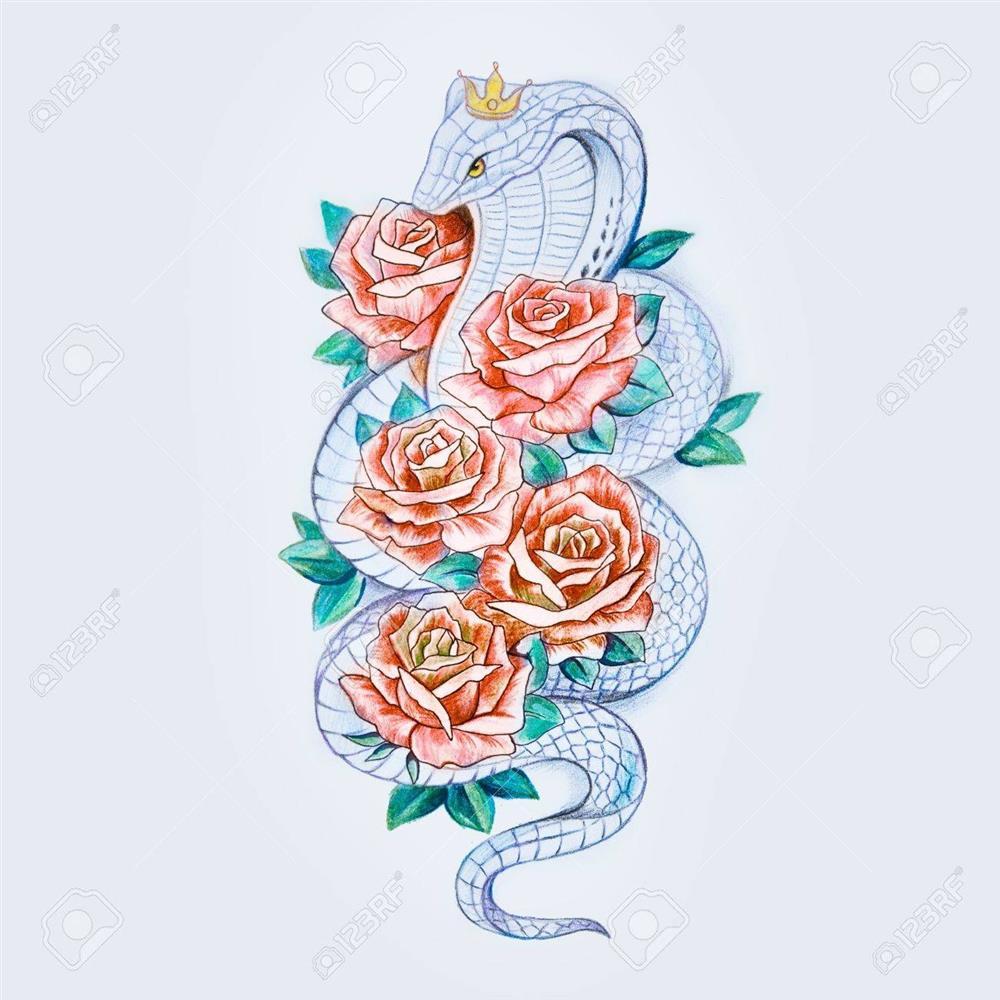 Tử vi 12 con giáp tuần mới 27/6/2022 - 3/7/2022: Ai lừa đảo Tỵ?-2