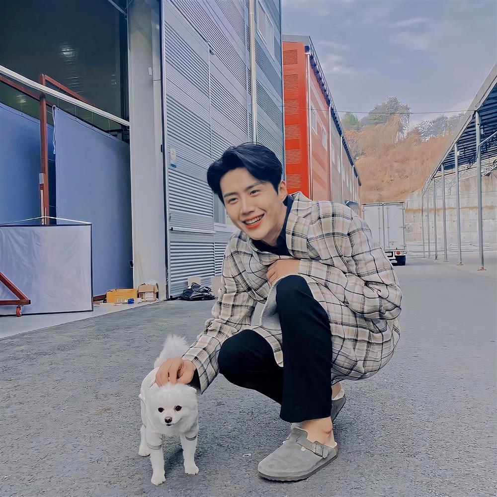 Tử vi 12 con giáp tuần mới 27/6/2022 - 3/7/2022: Ai lừa đảo Tỵ?-3