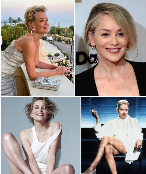 Minh tinh Bản Năng Gốc mất 9 đứa con-1