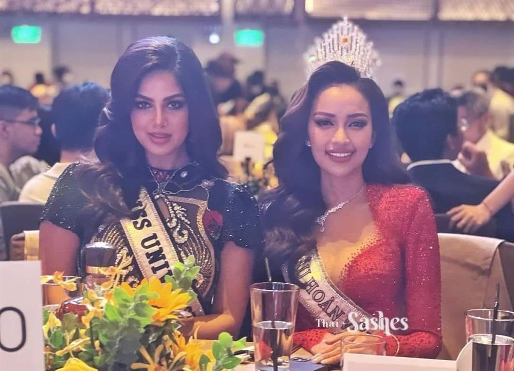 Miss Universe 2021 hóa nấm lùn khi đọ dáng Top 3 Hoa hậu Hoàn vũ Việt Nam-2