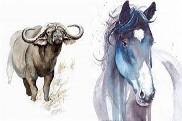 4 con giáp đỏ nhất tháng 7, tin vui dồn dập, tiền vào như nước-1