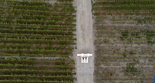 Khách sạn ngàn sao bên cạnh cây xăng độc nhất vô nhị ở Thụy Sĩ-3