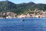 Xác cá voi khủng, nặng chục tấn dạt vào bờ biển Vân Đồn-3