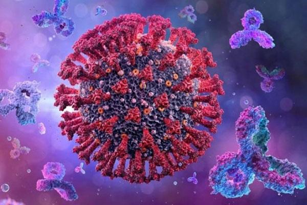 Việt Nam ghi nhận biến thể phụ mới BA.5 của Omicron-1