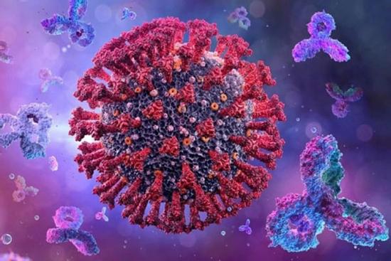 Việt Nam ghi nhận biến thể phụ mới BA.5 của Omicron