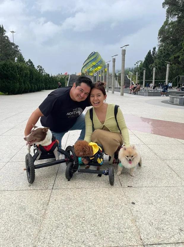 Chàng Tây cưa đổ bác sĩ xinh đẹp sau 24 giờ nhờ yêu thú cưng-2